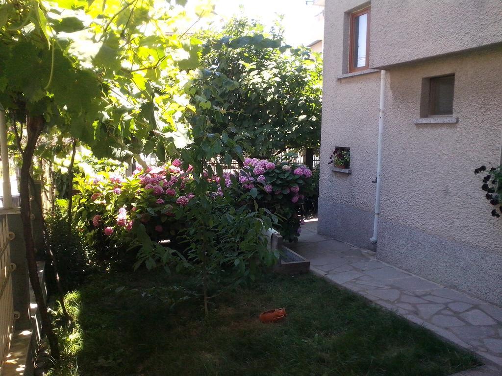 Guest House Krasi Chernomorets Eksteriør billede